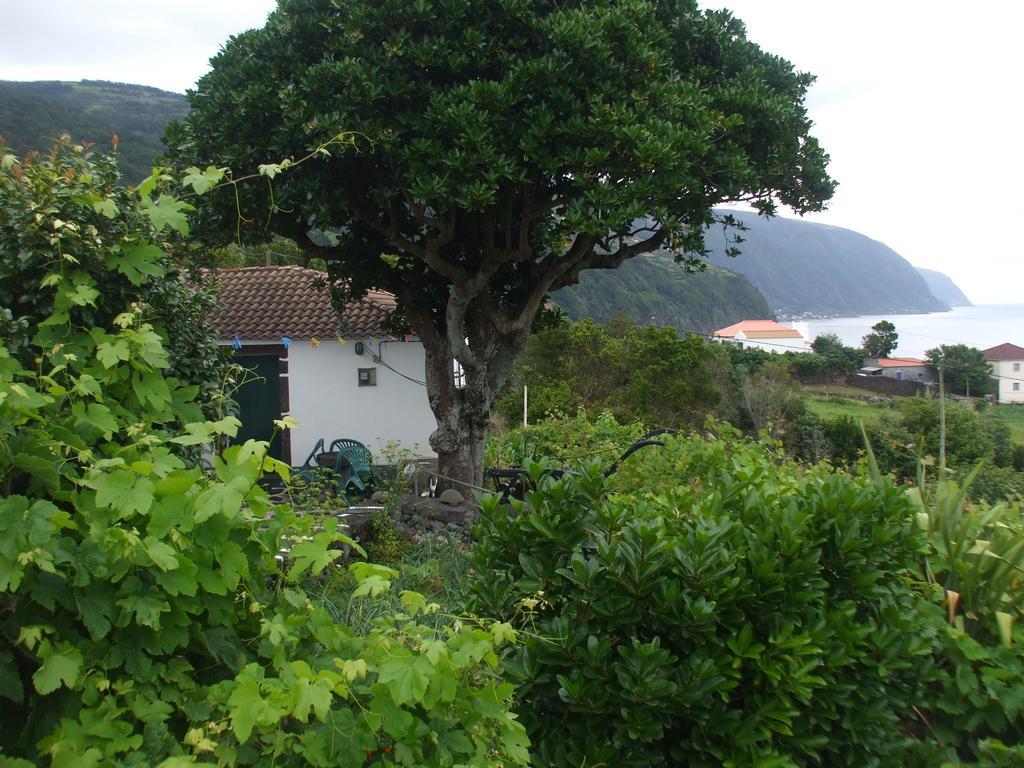 Adega Do Batista Villa Calheta  Bilik gambar